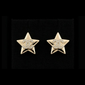 Starlight CC Stud  Earrings – E014