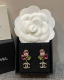 CC Multicolor Crystal Drop Earrings - E020
