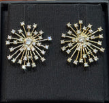 Crystal Starburst CC Stud Earrings - E046